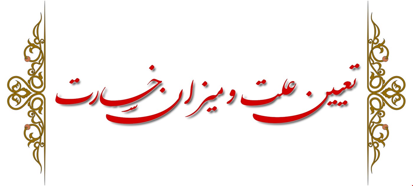تعیین خسارت